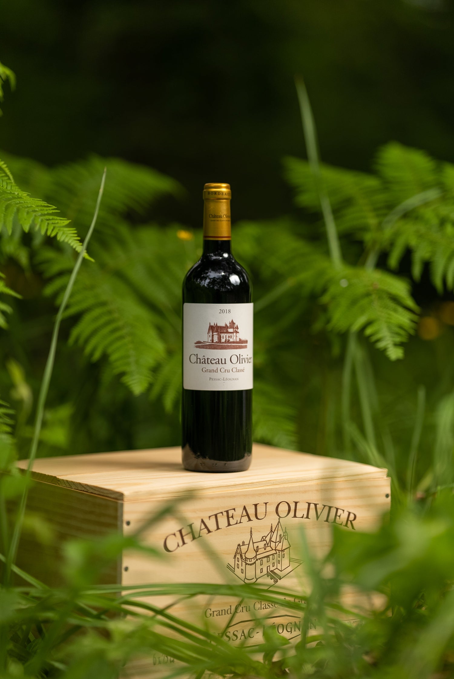 Nos meilleures ventes